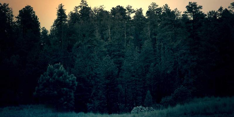 广州玛迪医院：专业医疗服务与健康咨询的一站式解决方案