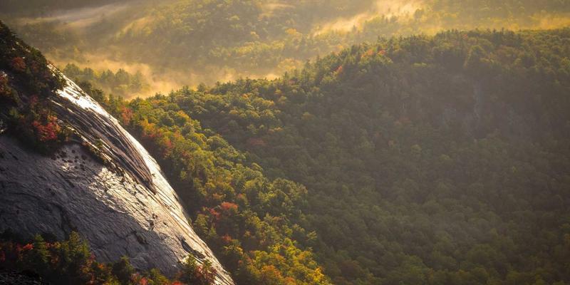 广州玛迪医院：专业医疗服务与健康咨询的现代化健康守护者