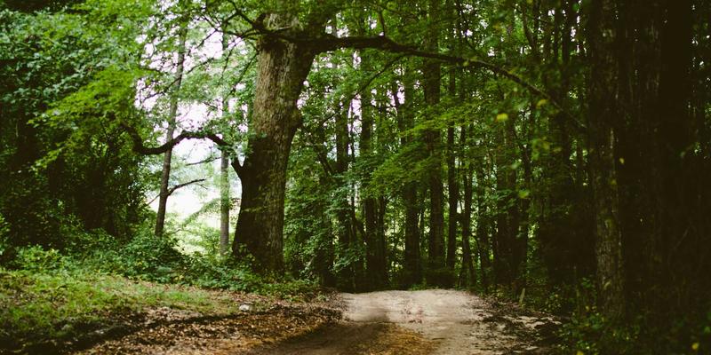 广州玛迪医院:专注妇产健康,守护羊城女性生命全周期