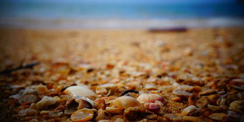 广州玛迪医院：专注妇儿健康，打造全周期医疗服务体系