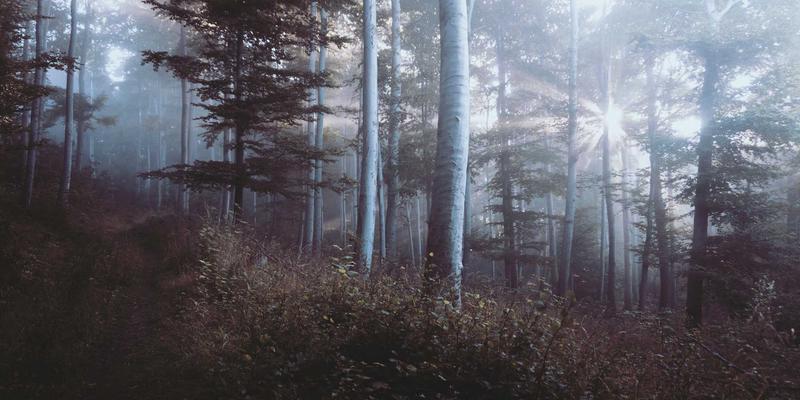 广州玛迪医院中医科：针灸结合中药调理，科学应对女性更年期综合征