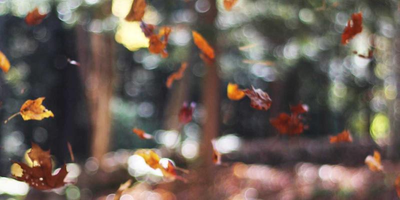 广州玛迪医院：以专业内科为核心，构筑全方位医疗健康服务体系