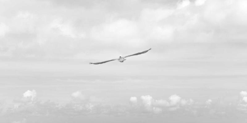 广州玛迪医院体检中心：职场白领亚健康深度筛查与儿科医疗服务健康咨询指南