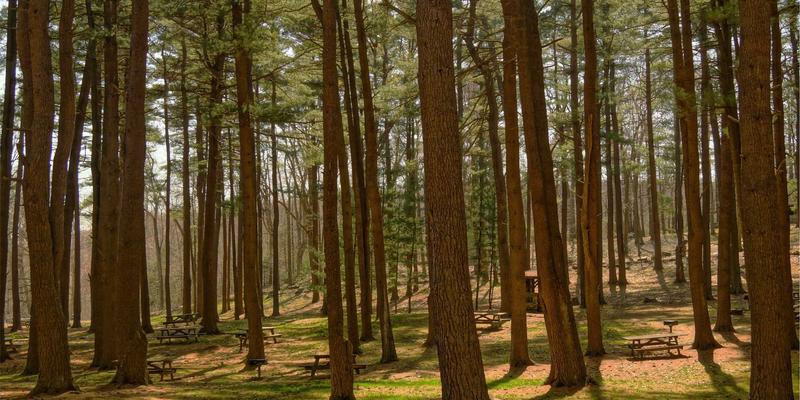 广州玛迪医院全方位评测：专业医疗与健康咨询服务深度解析