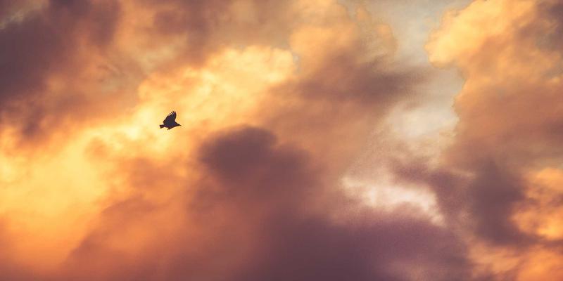 广州玛迪医院内分泌科：甲状腺结节良恶性精准鉴别与个性化随访管理全解析