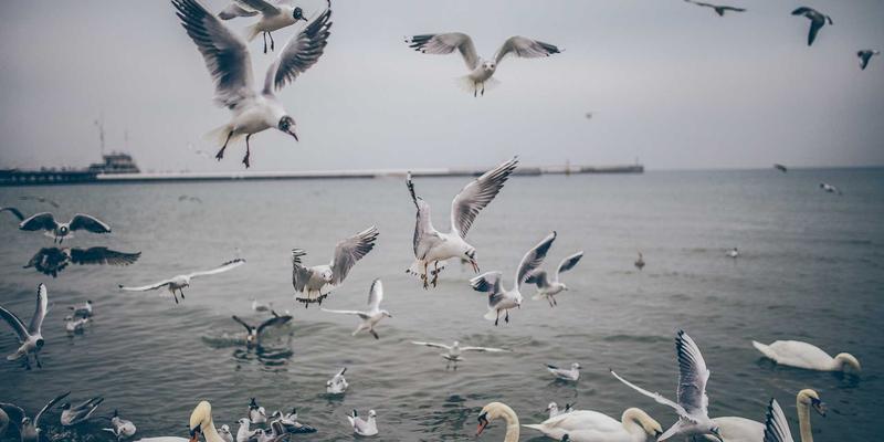 广州玛迪医院发展趋势:聚焦儿科与外科,打造专科医疗新标杆