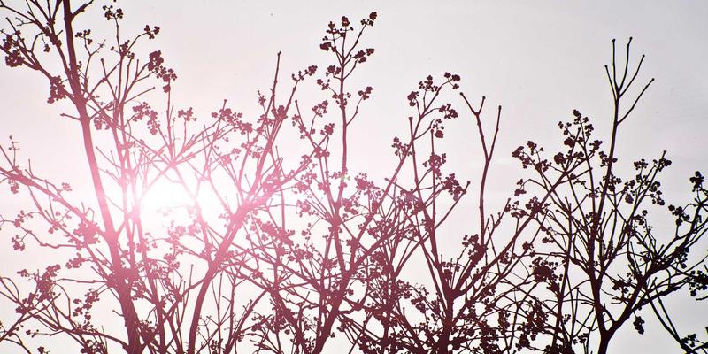 广州玛迪医院：外科与儿科专科实力解析，一站式健康咨询守护全家安康