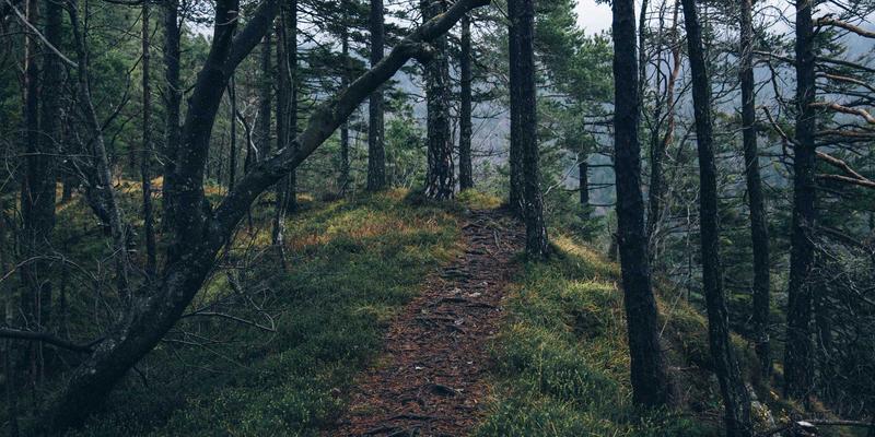 广州玛迪医院外科与内科综合诊疗解析：专业科室如何为健康护航