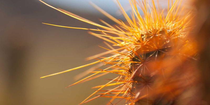 广州玛迪医院：外科与妇产科的卓越医疗，守护羊城健康