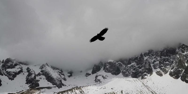 广州玛迪医院妇科：多囊卵巢综合征（PCOS）的综合诊疗与长期健康管理策略