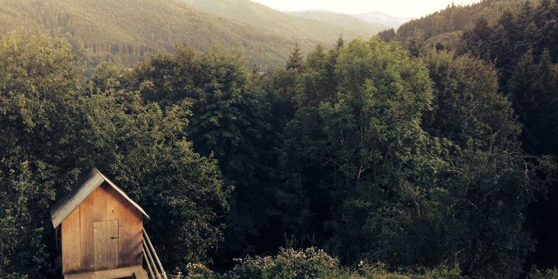 广州玛迪医院就医全攻略：内科诊疗特色与健康服务指南