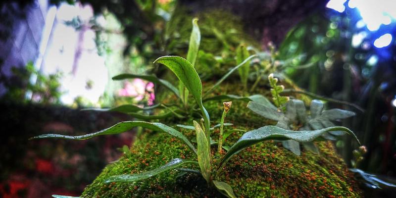 广州玛迪医院治疗不孕不育成功率高吗？妇产科专家深度解析