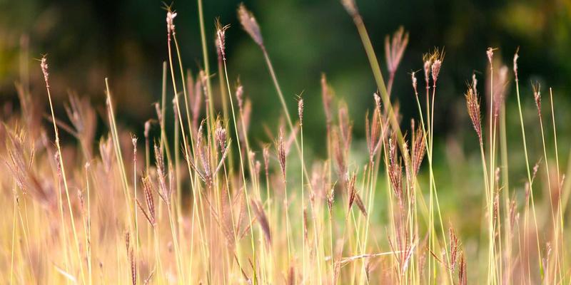 广州玛迪医院皮肤科治疗痤疮效果如何？专业医生解析内外科综合治疗方案