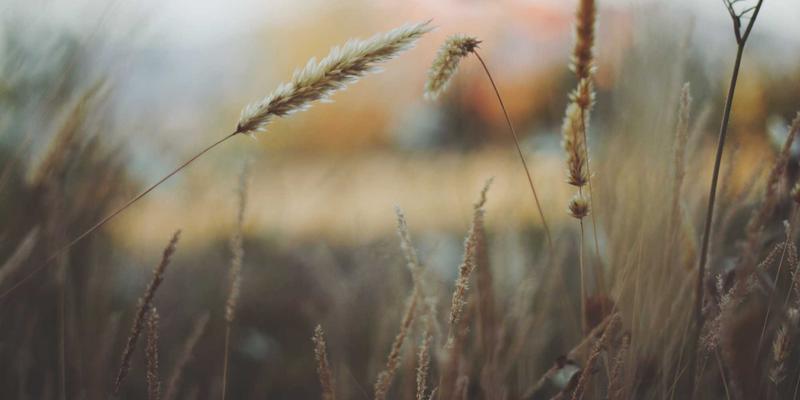 广州玛迪医院皮肤科详解：痤疮分级治疗与激光美容修复，守护全家皮肤健康