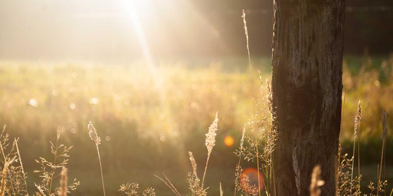 广州玛迪医院进阶之路：聚焦儿科与妇产科，打造全方位健康咨询新标杆