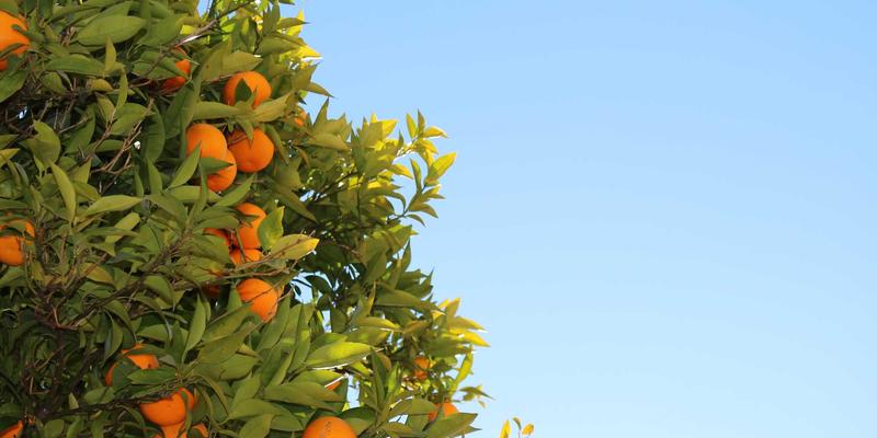 广州玛迪医院骨科：从妇产到儿科，全面解析腰椎间盘突出的阶梯治疗与椎间孔镜微创优势